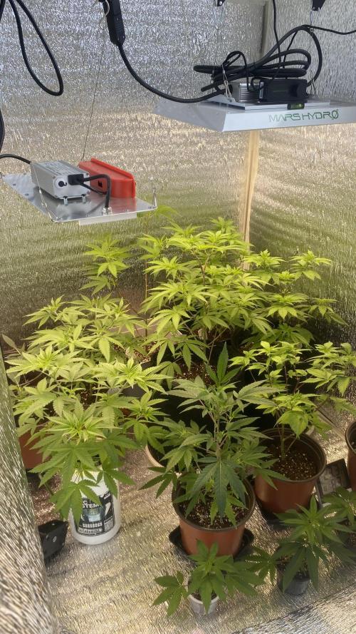 #Neverstopgrowing 2.0. Week 0