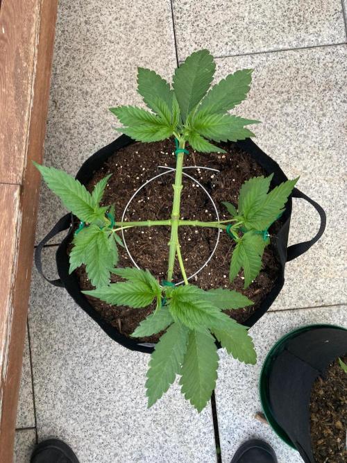 Dos Si Dos 33 Outdoor. Week 6 - Nach dem Toppen