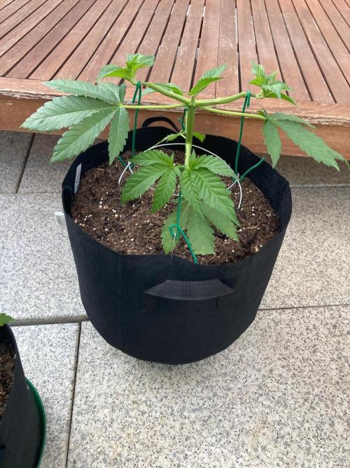 Dos Si Dos 33 Outdoor. Week 6 - Nach dem Toppen