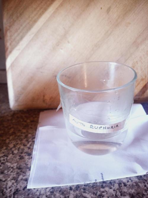 Euphoria. Week 0 - 035/2026 Step 1: hydration in pre-boiled step water cooled naturally to 20C