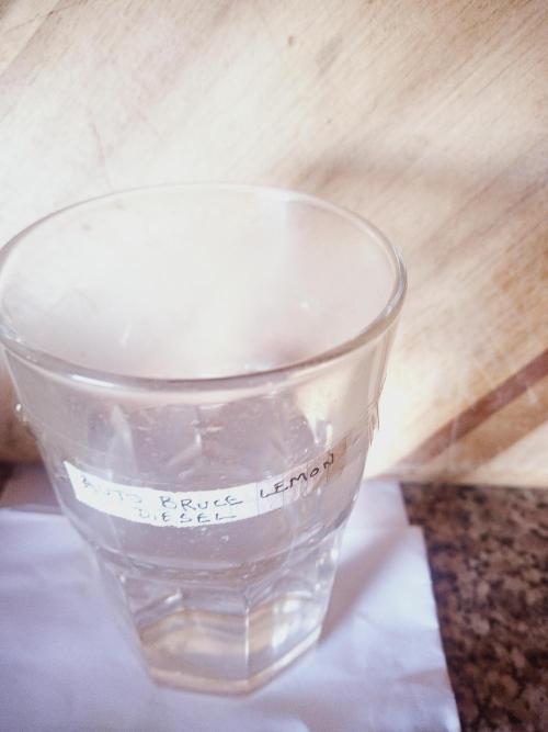 Auto Bruce Lemon Diesel. Week 0 - 03/05/2026 - step 1: hydration in pre-boiled tap water cooled naturally to 20ish