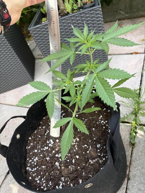 First time. Week 5