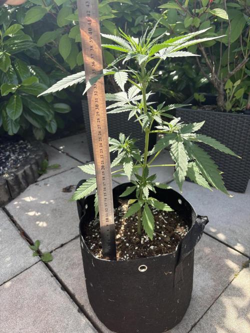 First time. Week 6