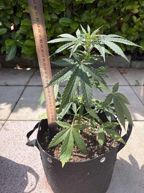 First time. Week 6