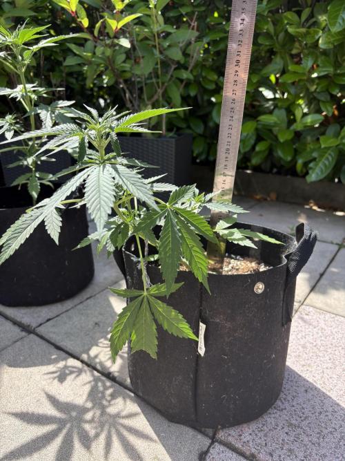 First time. Week 6