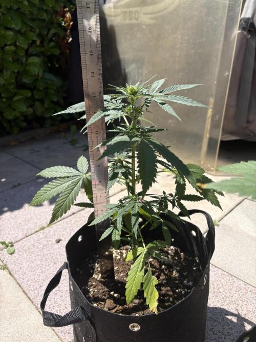 First time. Week 7