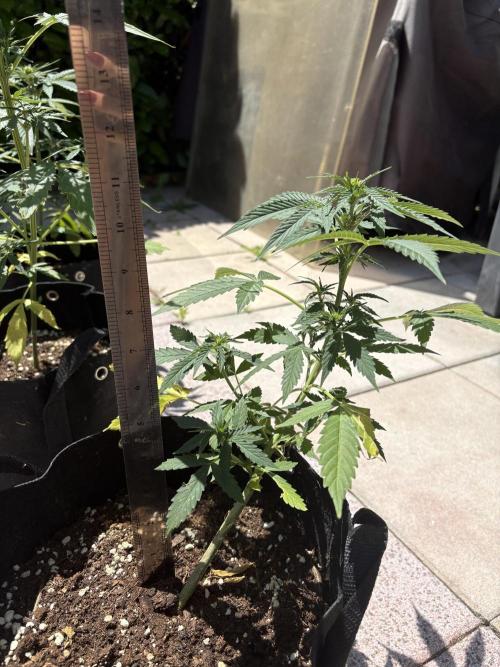 First time. Week 7
