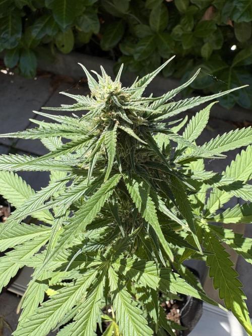 First time. Week 10