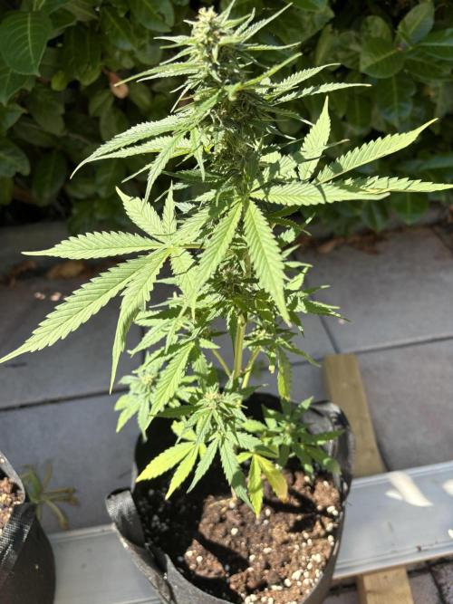 First time. Week 10