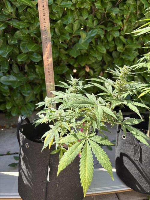 First time. Week 10