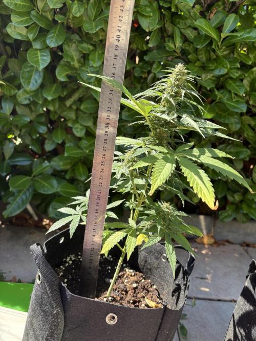 First time. Week 10