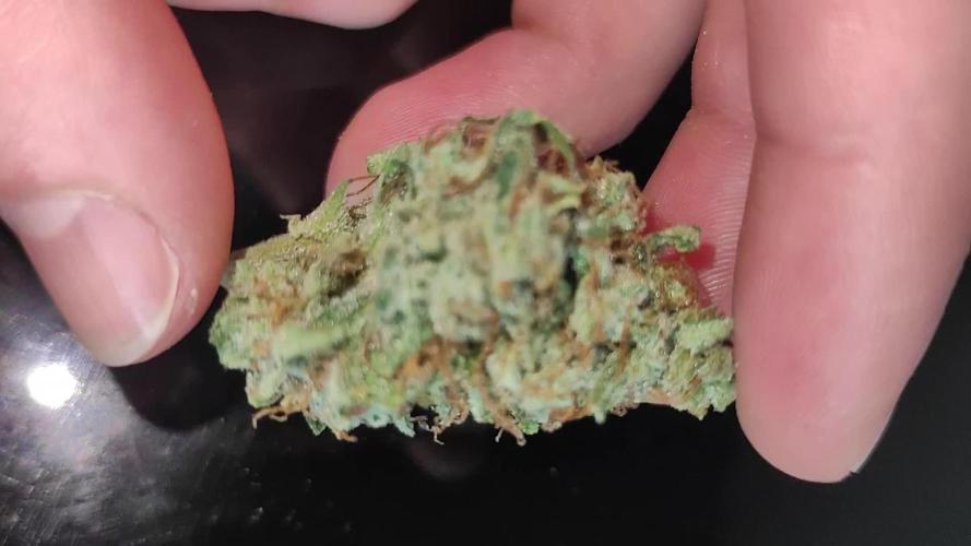 Toothpaste 4 ur Mind (Mintz Auto) DWC 