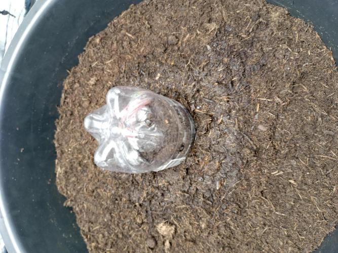 Kalashnikova Auto.. Week 0