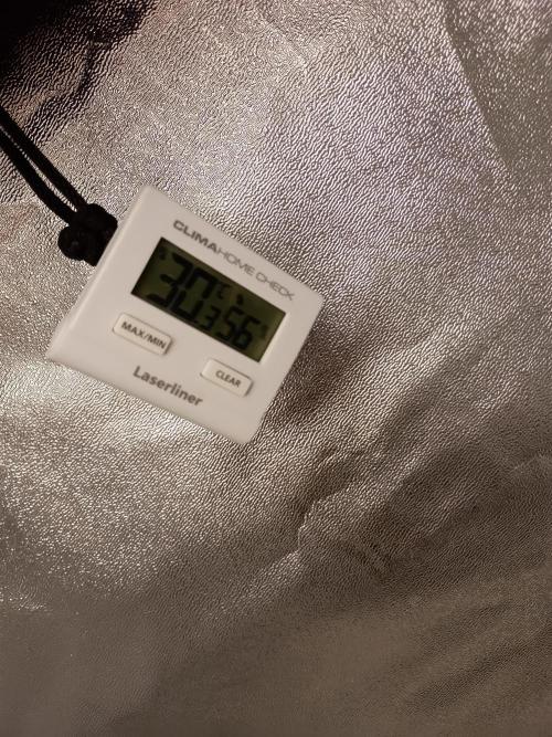 Kalashnikova Auto.. Week 1 - Ik was bang dat de temperatuur te hoog zou zijn.