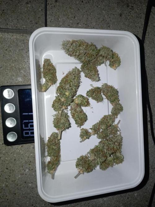 Kalashnikova Auto.. Week 11 - Het was 15 gram gedroogd ongeveer.