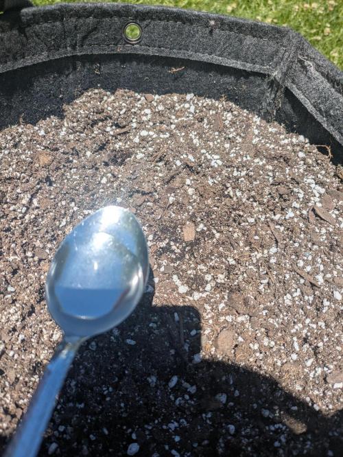 1st Outdoor Grow - Mystic Gorilla Auto. Week 0 - Day 1 - Added two spoonfuls of water around the seed