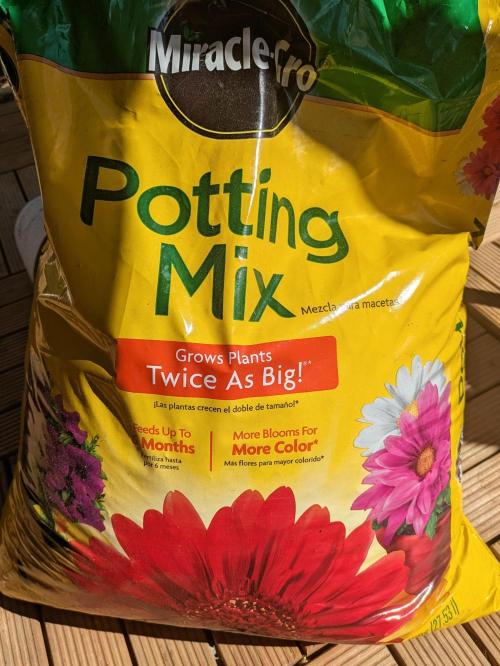 1st Outdoor Grow - Mystic Gorilla Auto. Week 0 - Day 1 - 70/30 Miracle Grow Potting Soil/Perlite