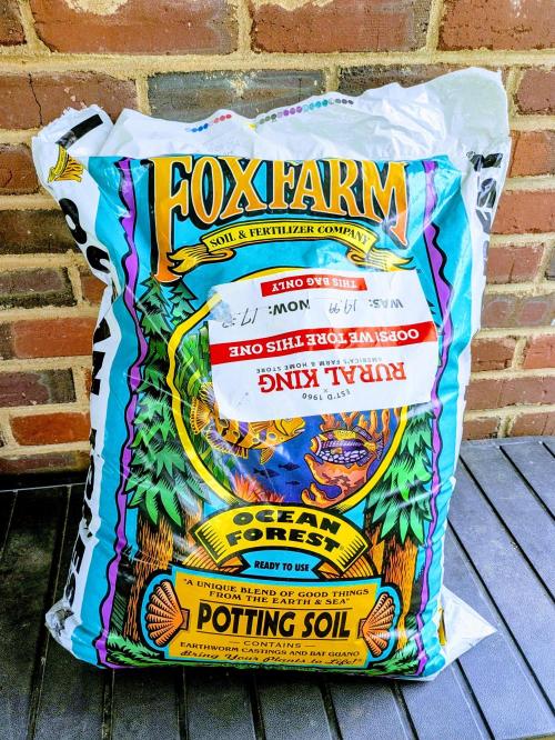 2nd Outdoor Grow - Mystic Gorilla Auto. Week 0 - Fox Farms Ocean Forest potting soil