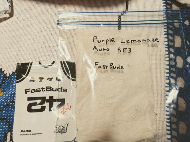 3rd Outdoor Grow - Purple Lemonade RF3. Week 0 - Damp paper towel and zip lock germination, May 17th