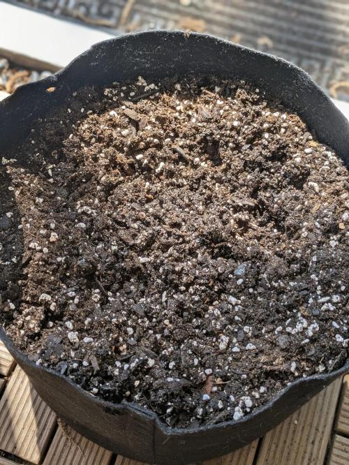 3rd Outdoor Grow - Purple Lemonade RF3. Week 0 - Soil is ready! Did the same for 3 other 3 gallon fabric pots 