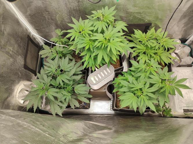 Hx002. Week 8
