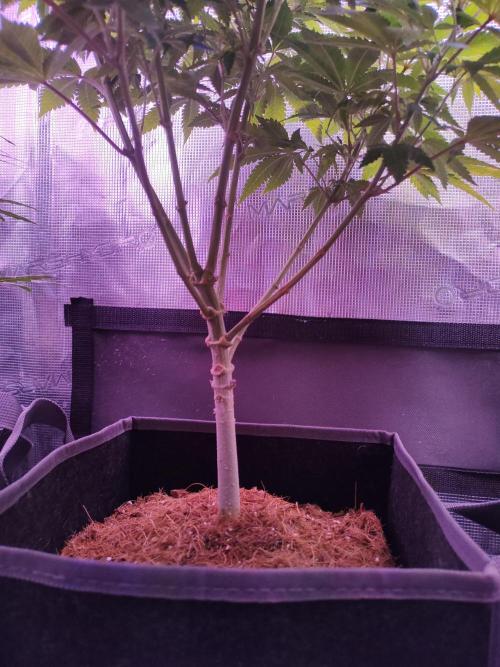 Hx002. Week 1