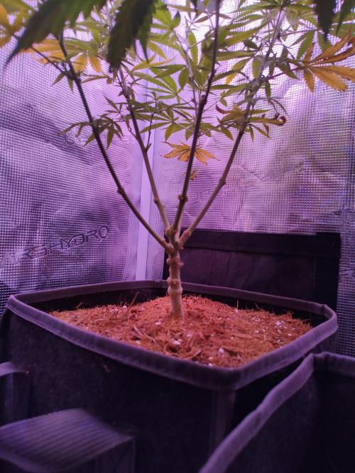 Hx002. Week 1