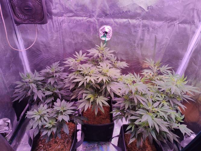 Hx002. Week 1