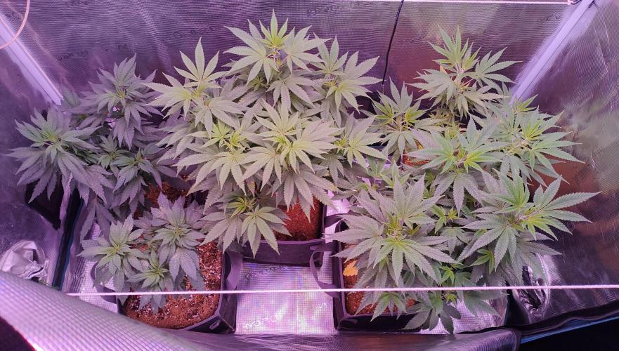 Hx002. Week 1