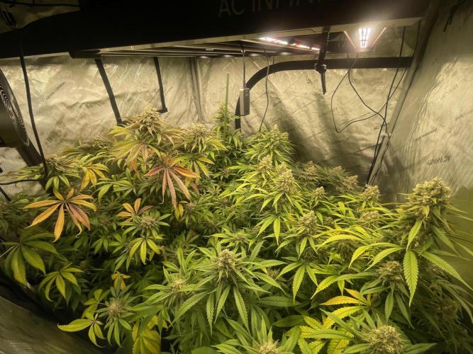 Ethos 4x4. Week 7 - Day 55