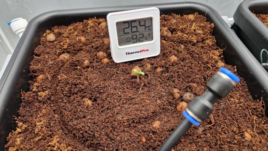 Fastbuds Mix Pack Auto RF3. Week 0 - #1