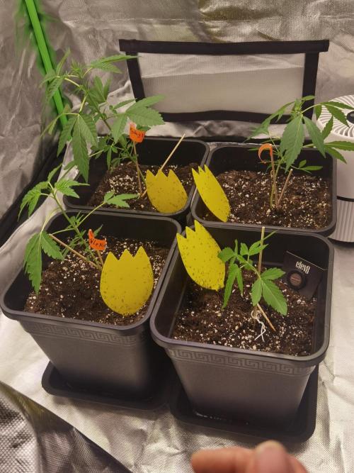 All starts at some Point!!. Week 1 - The start 