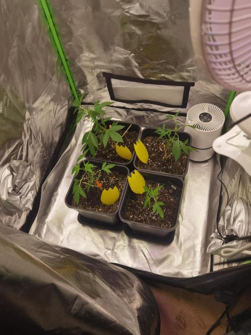 All starts at some Point!!. Week 1 - The start 