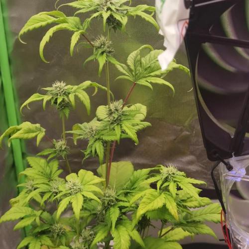 All starts at some Point!!. Week 7