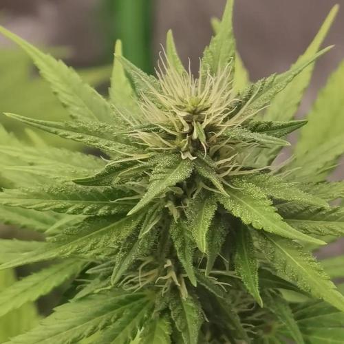 All starts at some Point!!. Week 7