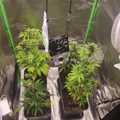 All starts at some Point!!. Week 7