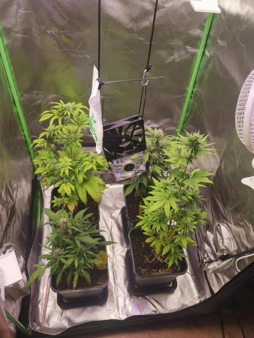 All starts at some Point!!. Week 7