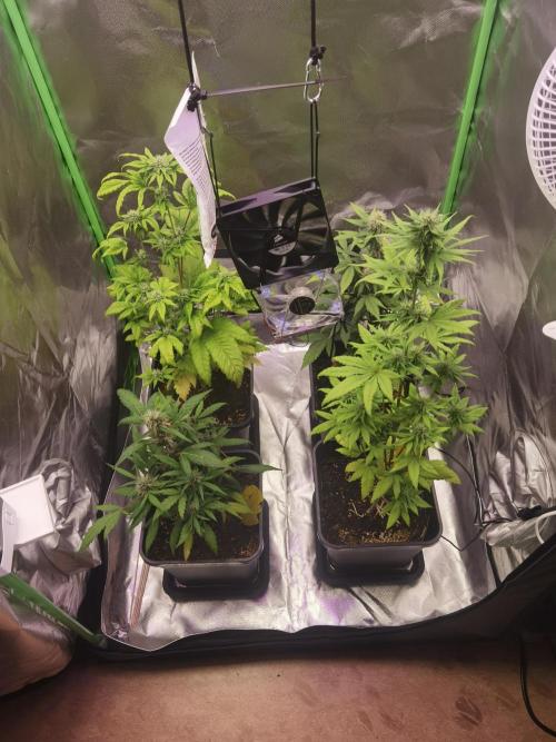 All starts at some Point!!. Week 7