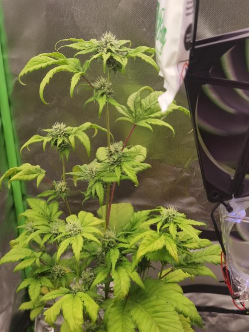 All starts at some Point!!. Week 7