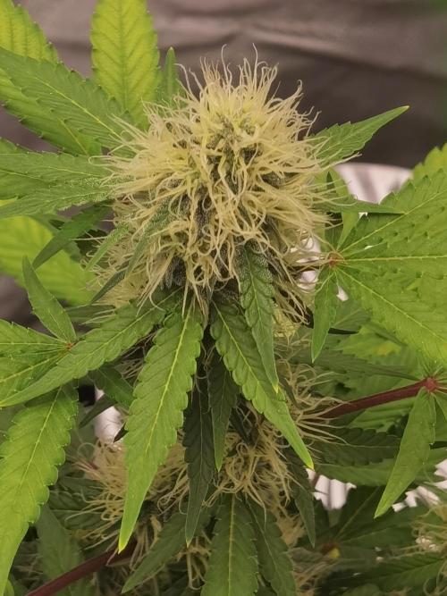All starts at some Point!!. Week 7