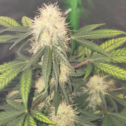 All starts at some Point!!. Week 8