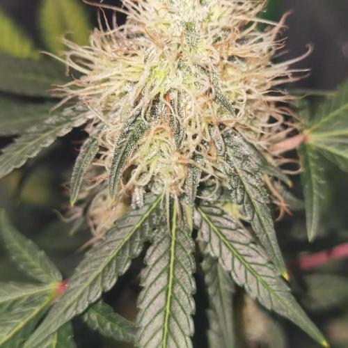 All starts at some Point!!. Week 8