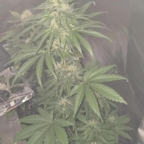 All starts at some Point!!. Week 8