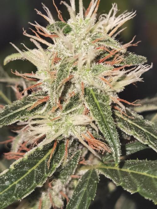 All starts at some Point!!. Week 8