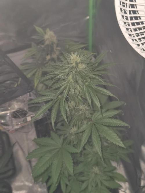 All starts at some Point!!. Week 8