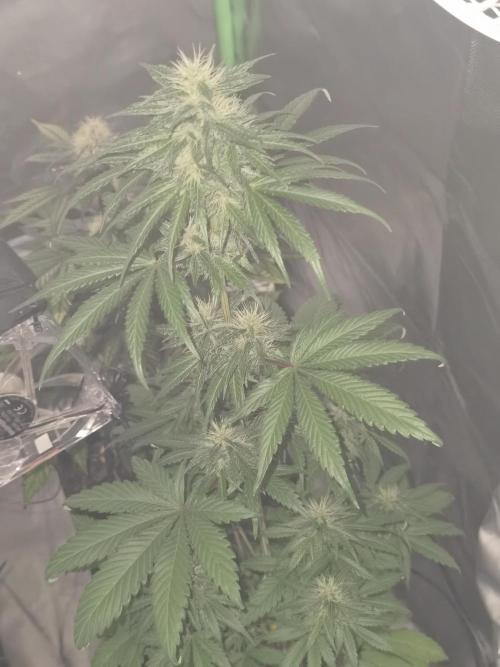 All starts at some Point!!. Week 8