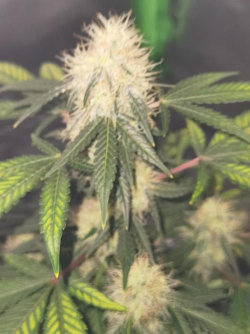 All starts at some Point!!. Week 8
