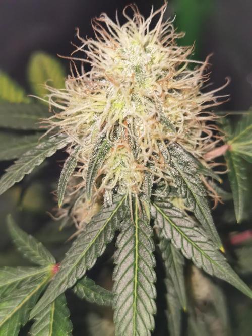 All starts at some Point!!. Week 8