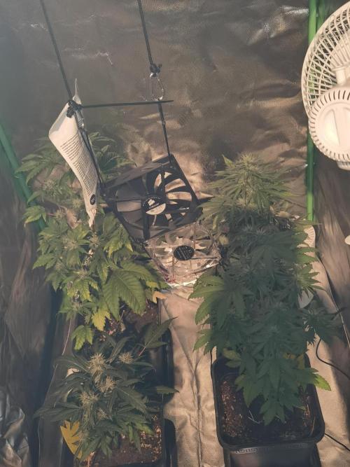 All starts at some Point!!. Week 8