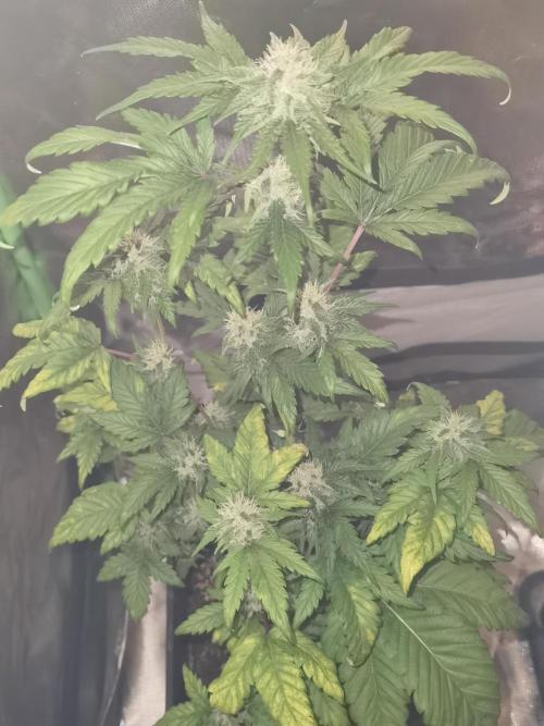 All starts at some Point!!. Week 8